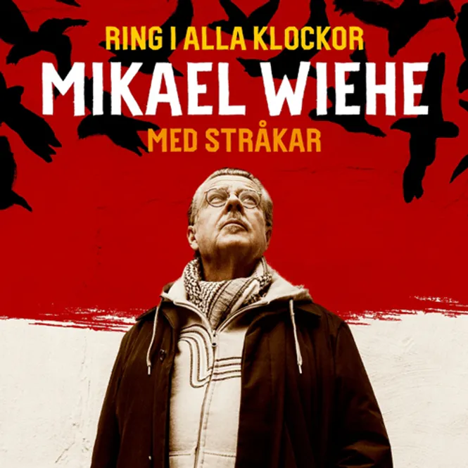 Hovedbilde Mikael Wiehe-Ring i alla klockor