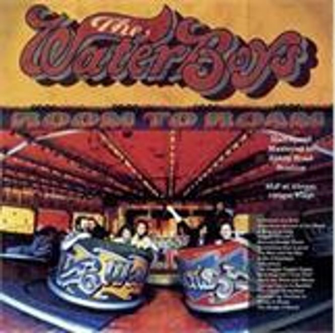 Hovedbilde The Waterboys-Room To Roam(2LP-45Rpm)