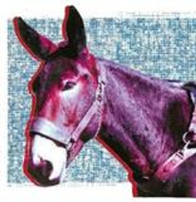Hovedbilde Protomartyr-Ultimate Success Today(LTD)
