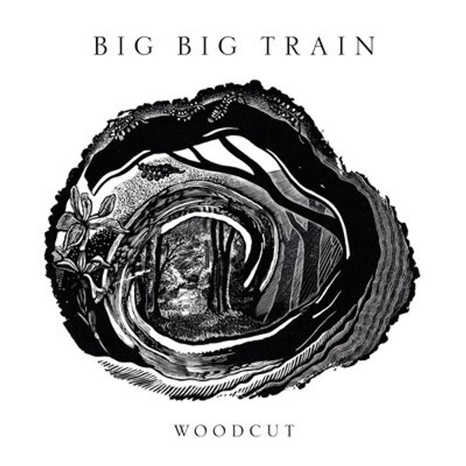 Hovedbilde Big Big Train-Woodcut